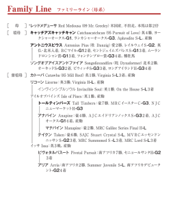 ブラックタイプ（PDF）