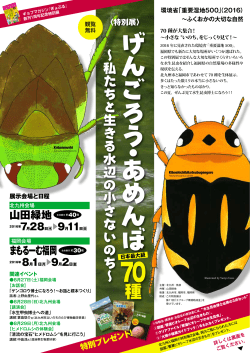 特別展