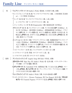 ブラックタイプ（PDF）