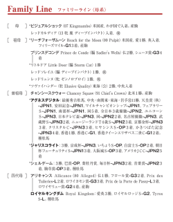 ブラックタイプ（PDF）