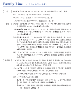 ブラックタイプ（PDF）