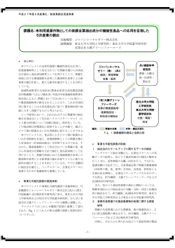 未利用資源作物としての紫蘇全葉抽出成分の機能性食品