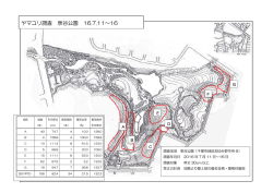 ヤマユリ調査 泉谷公園 16.7.11～16