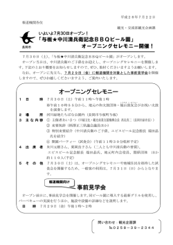 PDF 197KB
