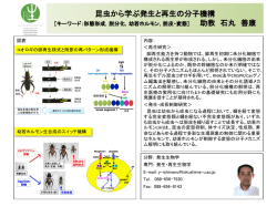 概要はこちら