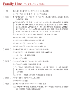 ブラックタイプ（PDF）