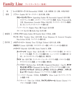 ブラックタイプ（PDF）