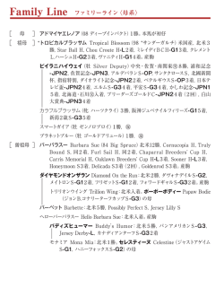 ブラックタイプ（PDF）