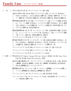 ブラックタイプ（PDF）