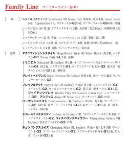 ブラックタイプ（PDF）