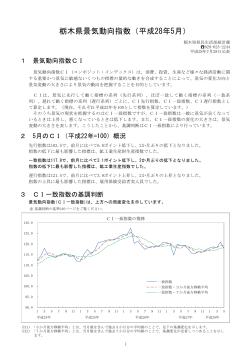 栃木県景気動向指数（平成28年5月）（PDF：560KB）