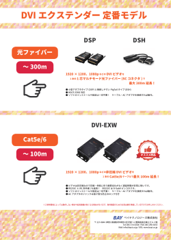 DVI エクステンダー 定番モデル