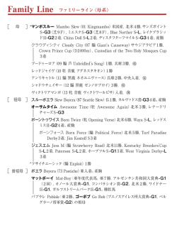 ブラックタイプ（PDF）