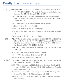 ブラックタイプ（PDF）