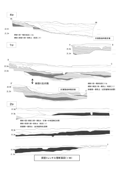 調査トレンチ土層断面図（PDF：266KB）
