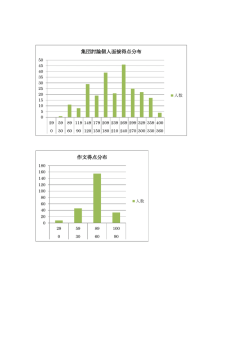 集団討論個人面接得点分布 作文得点分布