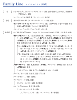 ブラックタイプ（PDF）