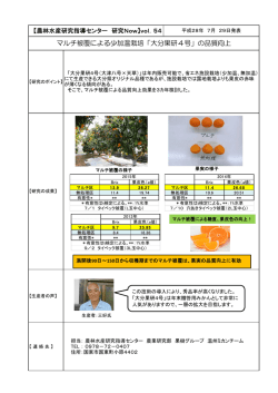 マルチ被覆による少加温栽培「大分果研4号」の品質向上