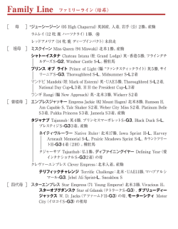 ブラックタイプ（PDF）