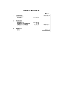 利益の処分に関する書類（案）