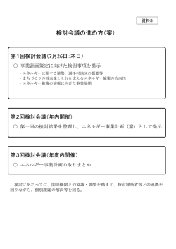 検討会議の進め方（案）