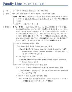ブラックタイプ（PDF）