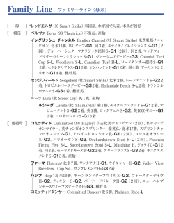 ブラックタイプ（PDF）
