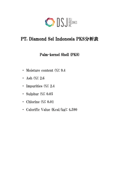 PT. Diamond Sel Indonesia PKS分析表