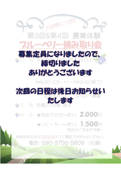 ブルーベリー摘み取り会
