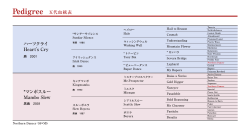 5代血統表（PDF）