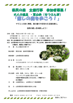 森の香りや沼をわたる風を感じ、 森の香りや沼をわたる風を感じ