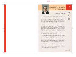 中部の活性化に観光産業 として出来ること