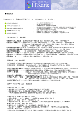 ITKarte機能概要（H22）