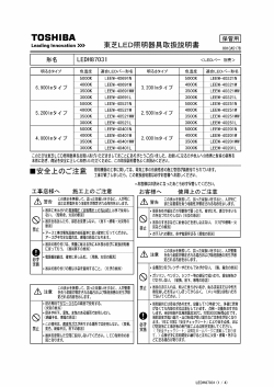 LEDH87031
