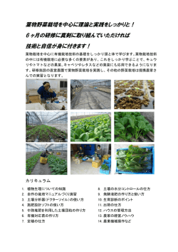 葉物野菜栽培を中心に理論と実践をしっかりと！ 6 ヶ月の研修に真剣に