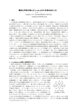 電気化学者が挑んだ in situ XAFS 計測のあれこれ