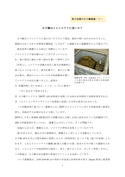 ホウ酸はイエシロアリに効くの？（荒川民雄のホウ酸談義、その1）