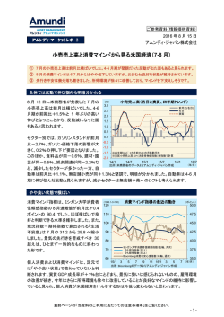 小売売上高と消費マインドから見る米国経済（7-8 月）