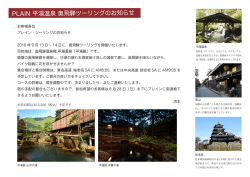 詳細 - TEAM