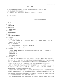（電子入札、特別簡易型総合評価落札方式）に付