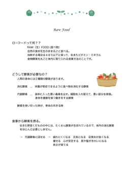 ローフードご案内PDF