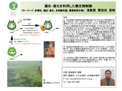 概要はこちら