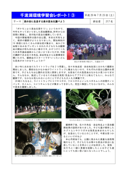西の谷に生息する夜の昆虫を調べよう