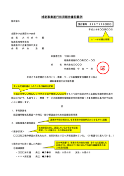補助事業遂行状況報告書記載例