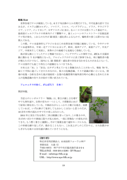 蝋梅 Now