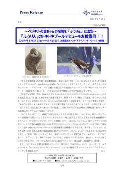 『ふうりん』のドキドキプールデビューをお披露目！！
