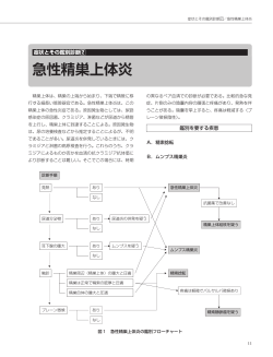 1－2. 急性精巣上体炎