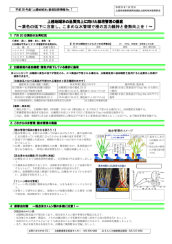 ～葉色の低下に注意し、こまめな水管理で根の活力維持と登熟向上を！～