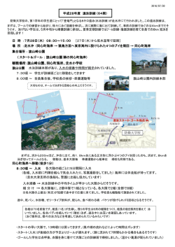 観戦場所：旗山崎公園、同心町海岸、走水小学校