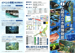 詳細はこちら